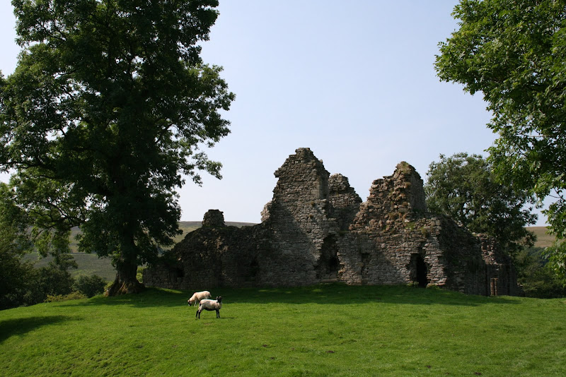 IMG_4262.JPG