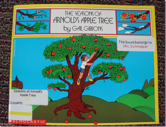 Seasons of An Apple Tree 004