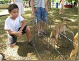 puteri