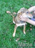 [manja 1[11].jpg]