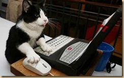 cat6 cat6