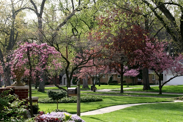 [SpringMorning,4-10 017[2].jpg]