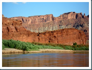 WestTrip,Week5 431