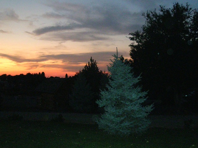 [WestTripWeek520662.jpg]