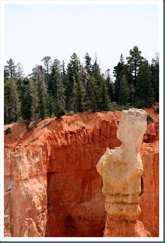 WestTrip,Week6 226