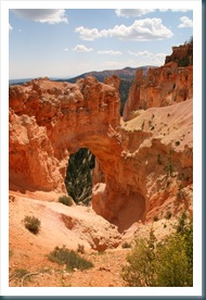 WestTrip,Week6 229