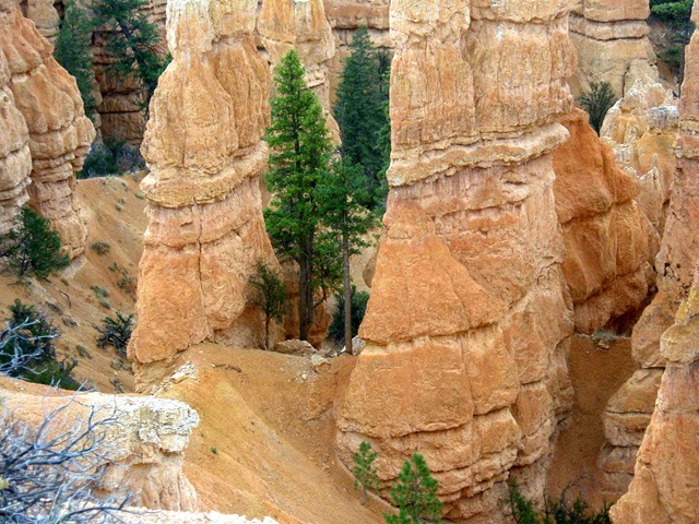 [WestTripWeek61692.jpg]