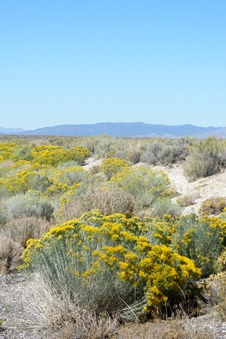 [WestTripWeek70402.jpg]