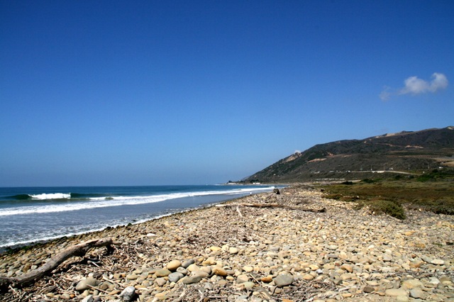 [WestTripWeek77052.jpg]