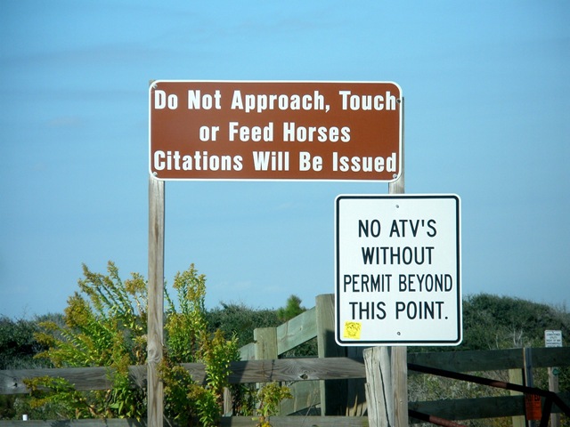 [South,Week1,09 066[2].jpg]