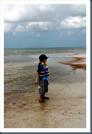 SSK11,Week12 176