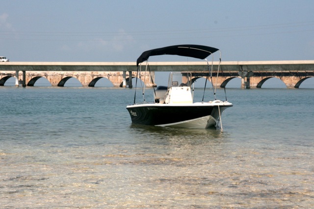 [SSK11Week132312.jpg]