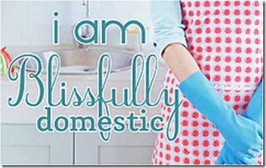 i-am-blissfully-domestic-apron