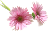 1756666_17.png