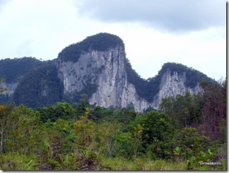 limestone_hills_of_Tebakang 2