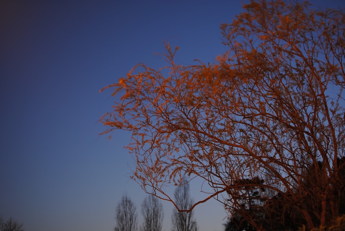 DSC_0328.JPG