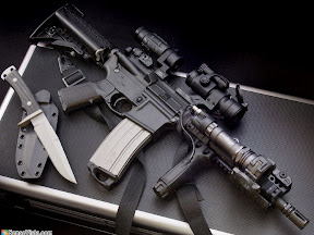1250_Customized_Assault_rifle1024_768.jpg