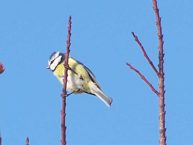 100_9008.jpg