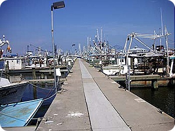 boat-dock