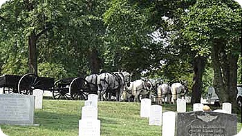 graves-horses