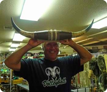 9-paul-with-horns