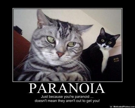 [Paranoid cats[7].jpg]