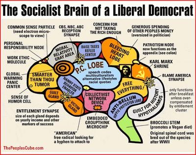 [Liberal brain[5].jpg]