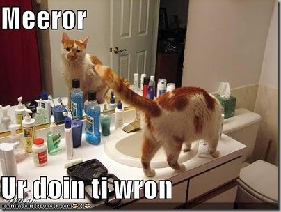 Mirror cat