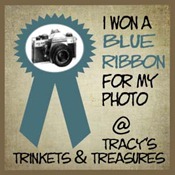 blue ribbon_edited-2