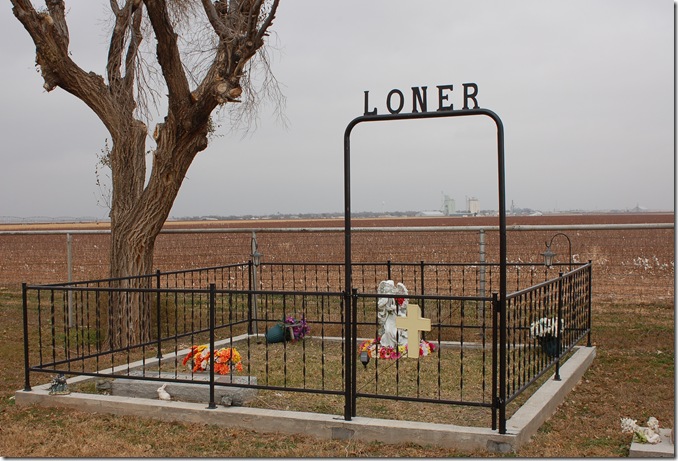 Loner fence 2