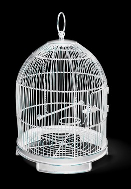 birdcage birdcage