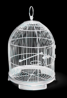 birdcage