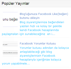 popüler-yayınlar
