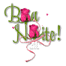 boa%20noite.bns.gif