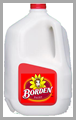 Borden Milk