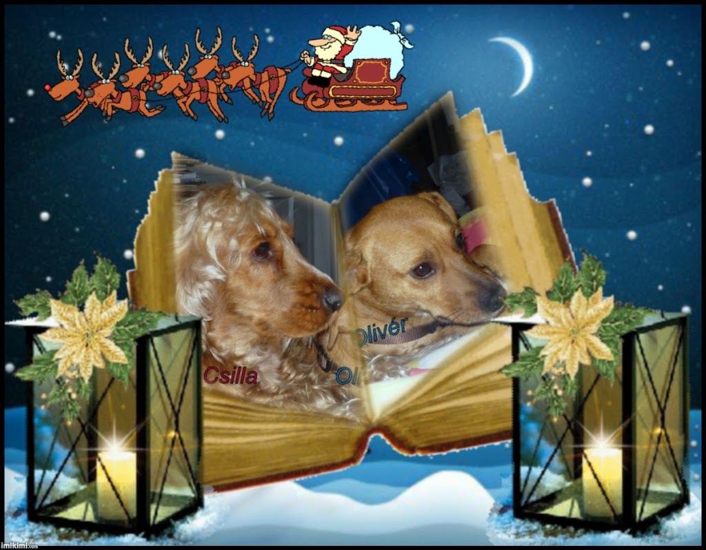 Merry%20Christmas%2C%20Book%20-%2019mgp-102%20-%20print.jpg