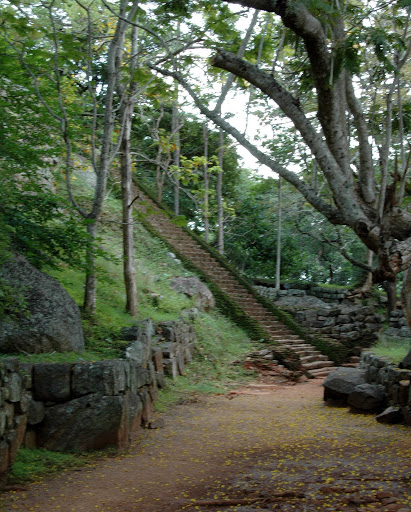 DSC_2369.JPG