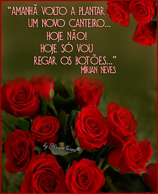 031M%C3%ADrianNevesPOETAS.jpg