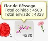 flordepessego