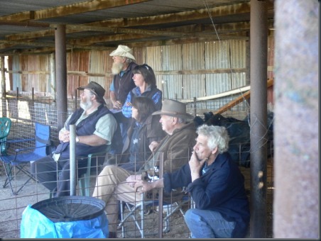 An appreciative crowd in the shed