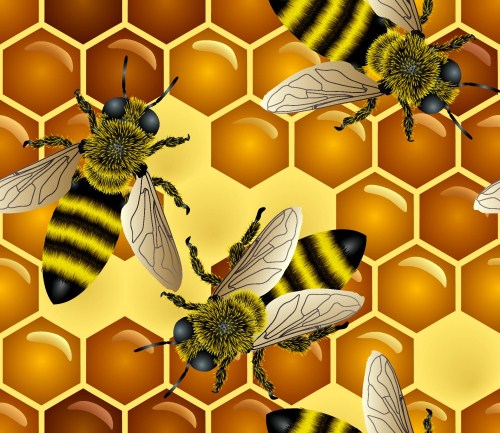 ShutterStock.-.Vector.Honey.Background.jpg