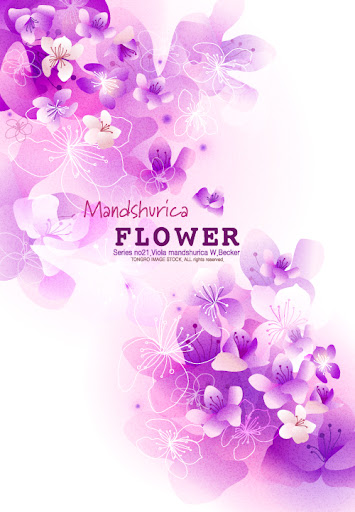 Mandshurica.Flower.Background-aiovector.com.jpg