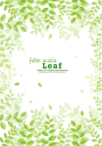 False.Acasia.Leaf-aiovector.com.jpg