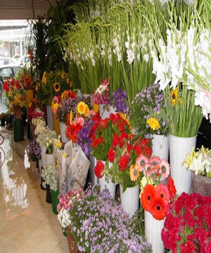 Flower-Shop-tanuku