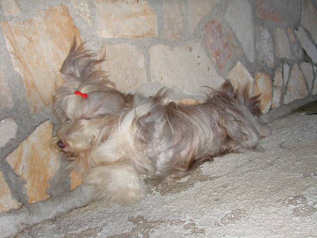 DSC02624.JPG