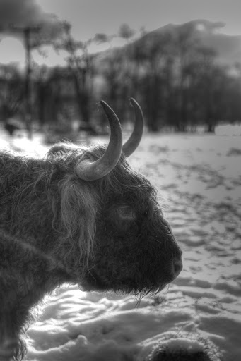 IMG_8094_tonemapped.jpg