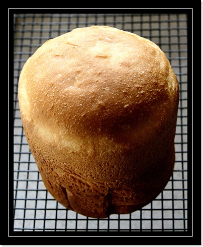 Fresh bread for blog