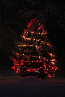 Vance's Christmas tree