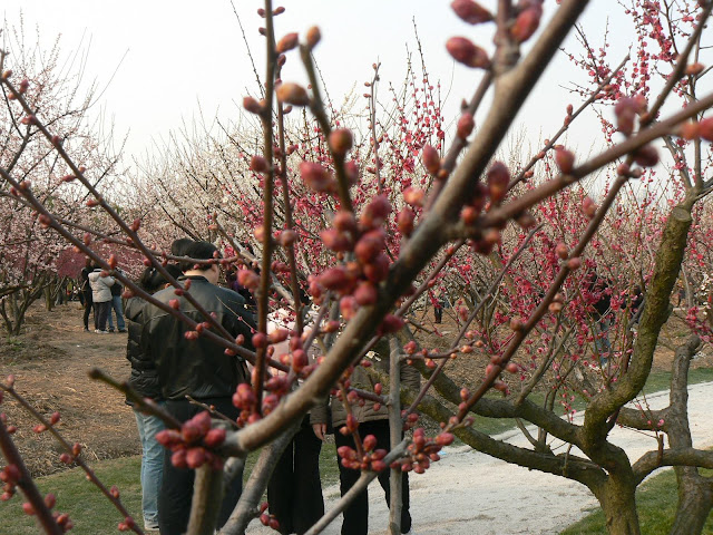 P1020343
