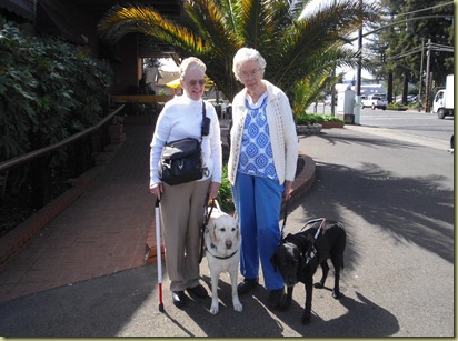 Dianne and Hibiscus and Ruth and Judith standing in front of the restuarant after lunch.